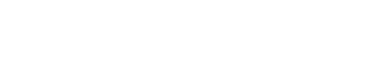 Новичок (Новобранец)